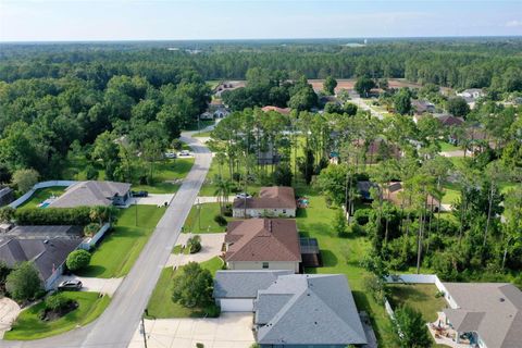 A home in PALM COAST