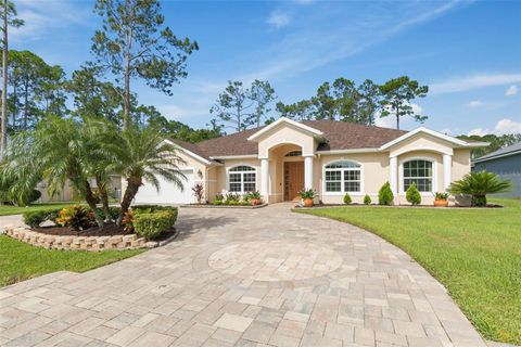 A home in PALM COAST