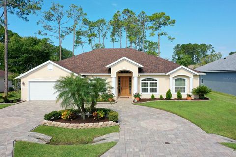 A home in PALM COAST