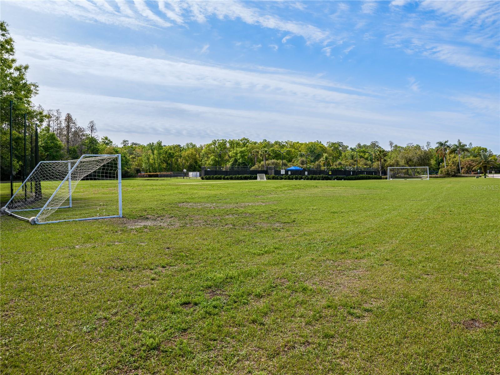 CORY LAKE ISLES - Residential