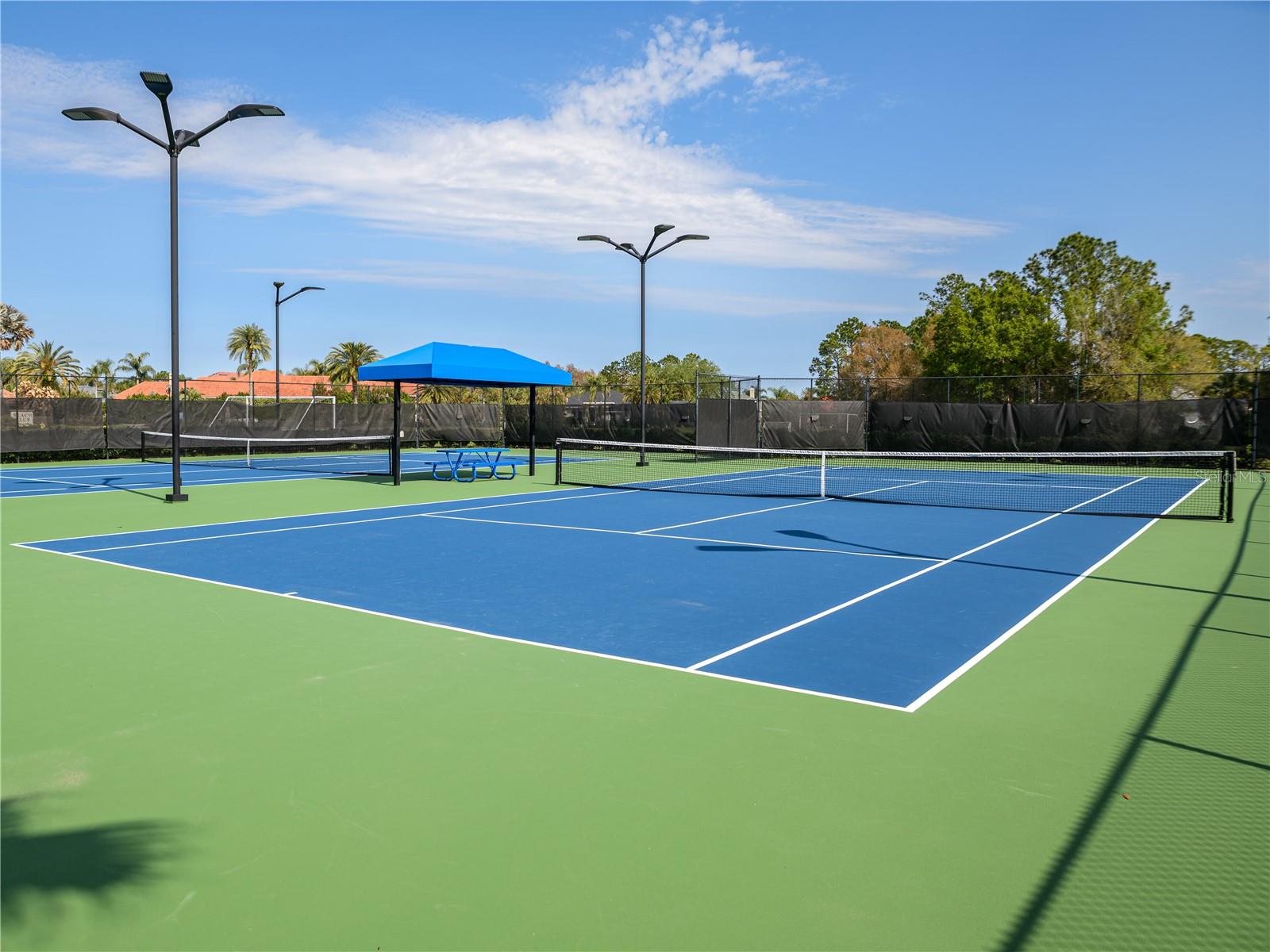 CORY LAKE ISLES - Residential