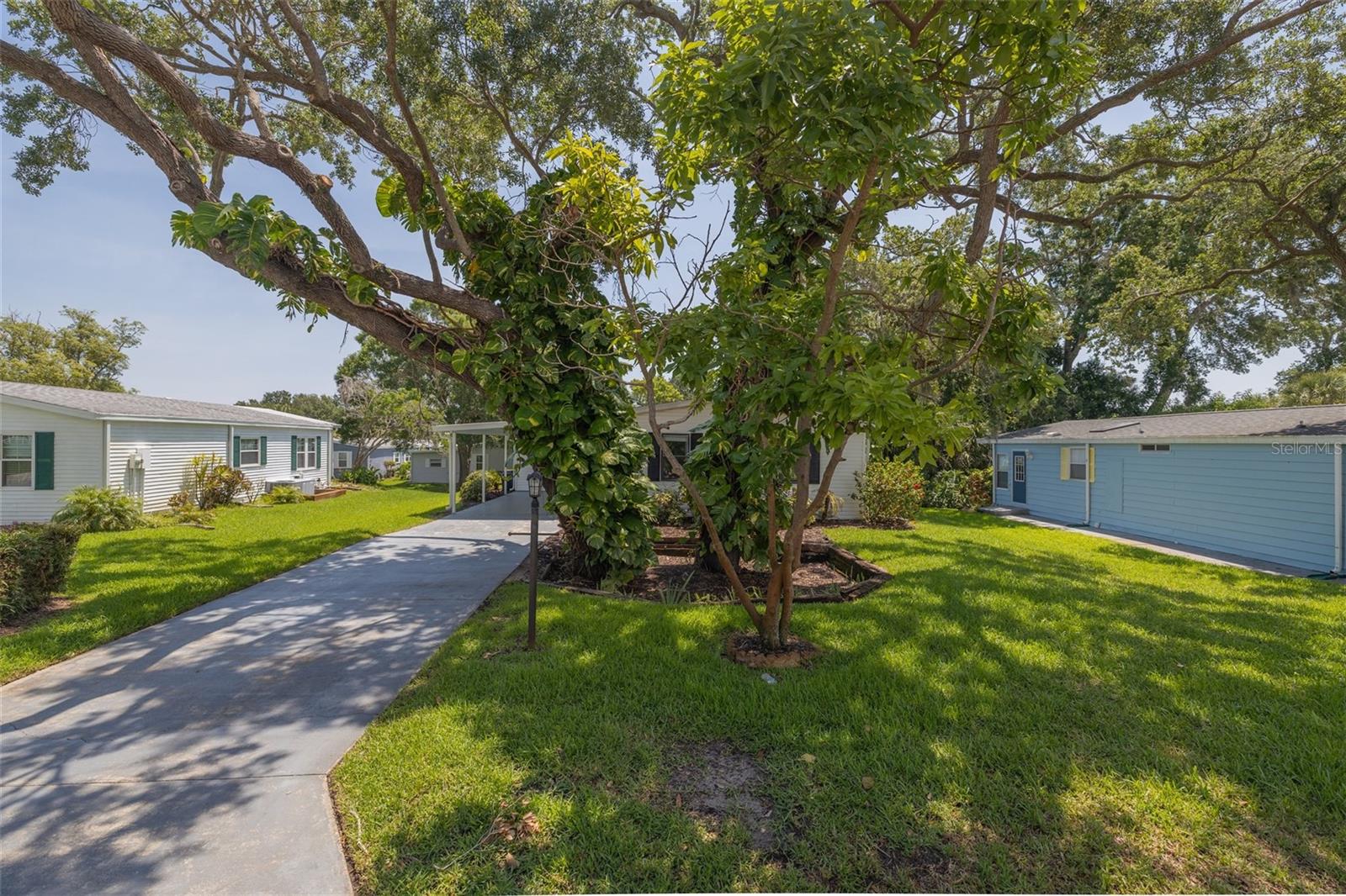 209 SCHOONER AVENUE