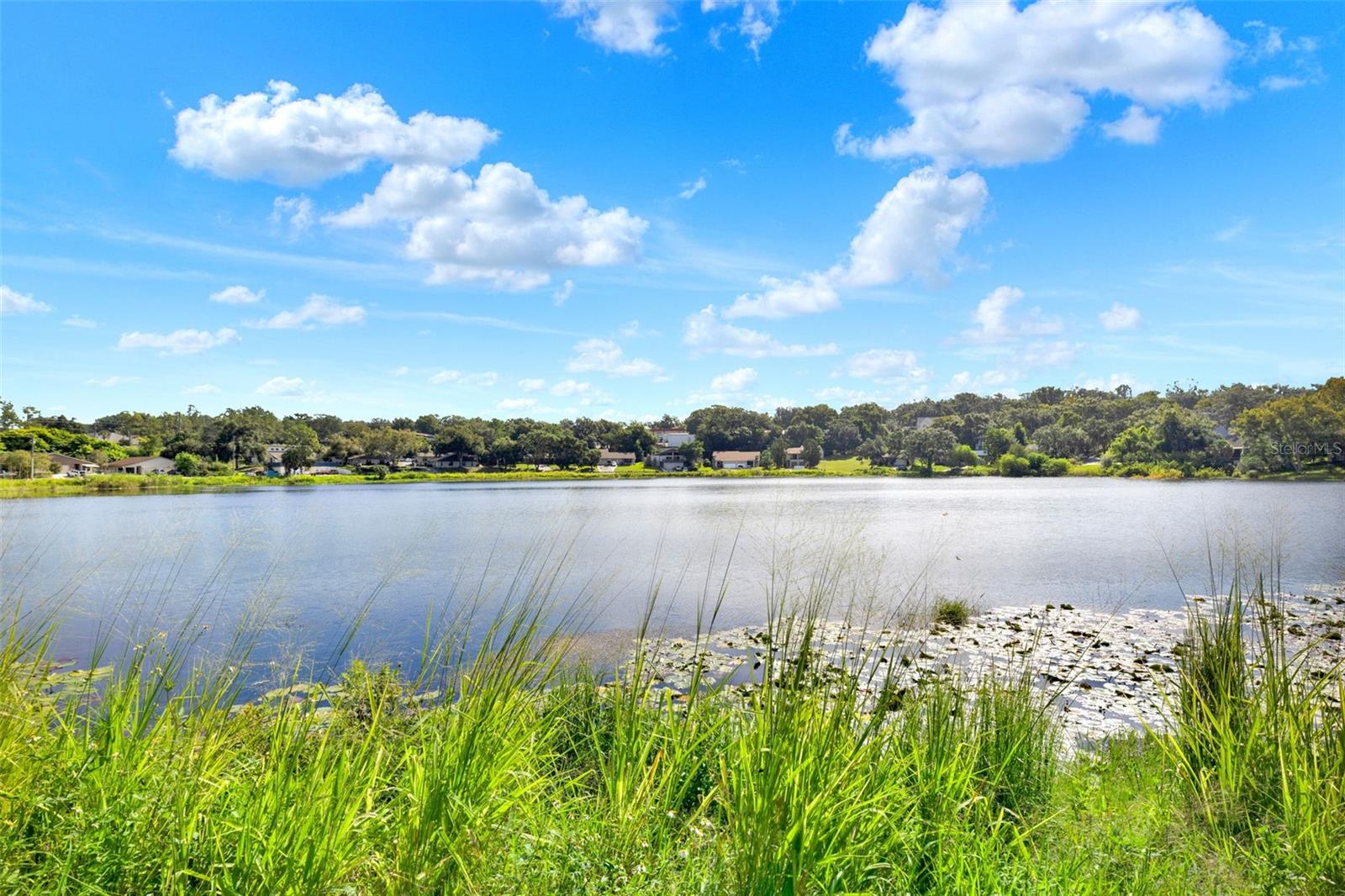 CLERMONT SUNNYSIDE UNIT - Residential Lease