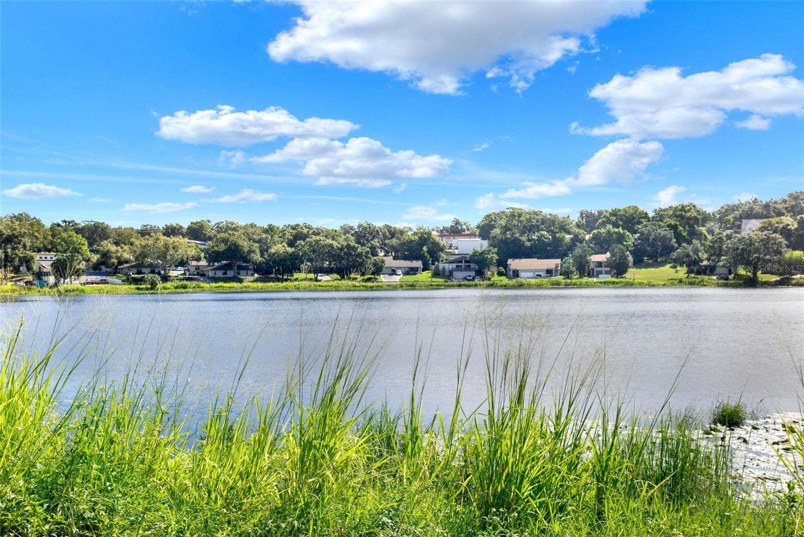 CLERMONT SUNNYSIDE UNIT - Residential Lease