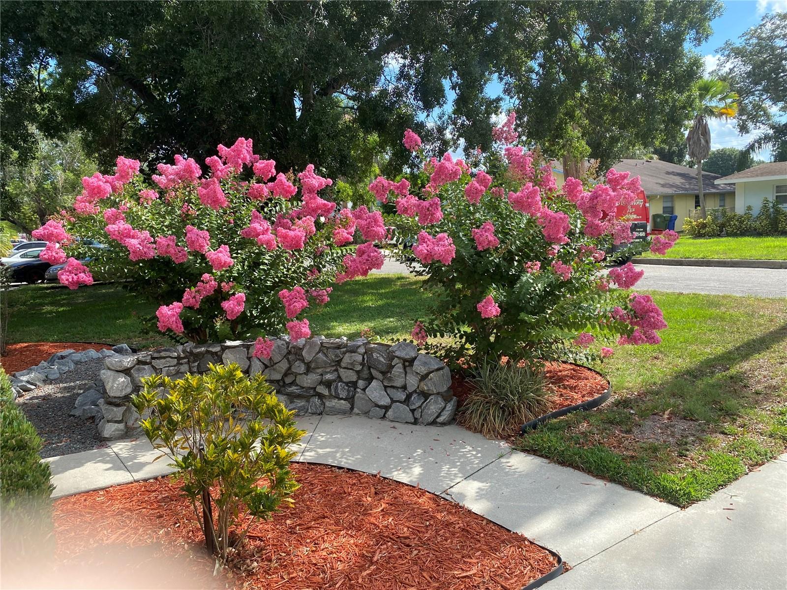 BEARS SUB - Residential