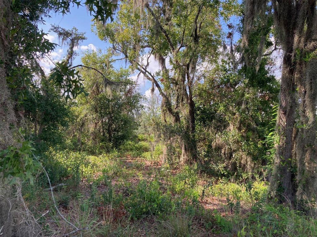 Photo of 0 3rd Avenue, Babson Park, FL 33827 (MLS # T3539684)