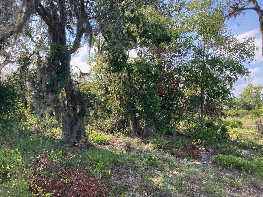 Photo of 0 3rd Avenue, Babson Park, FL 33827 (MLS # T3539684)