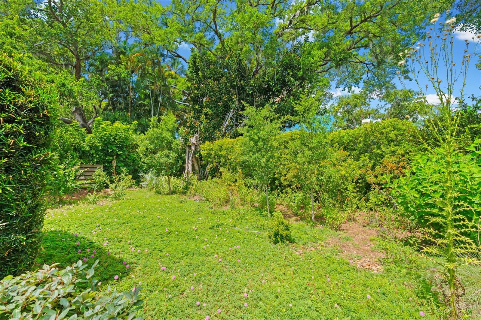 GREENFIELD - Residential