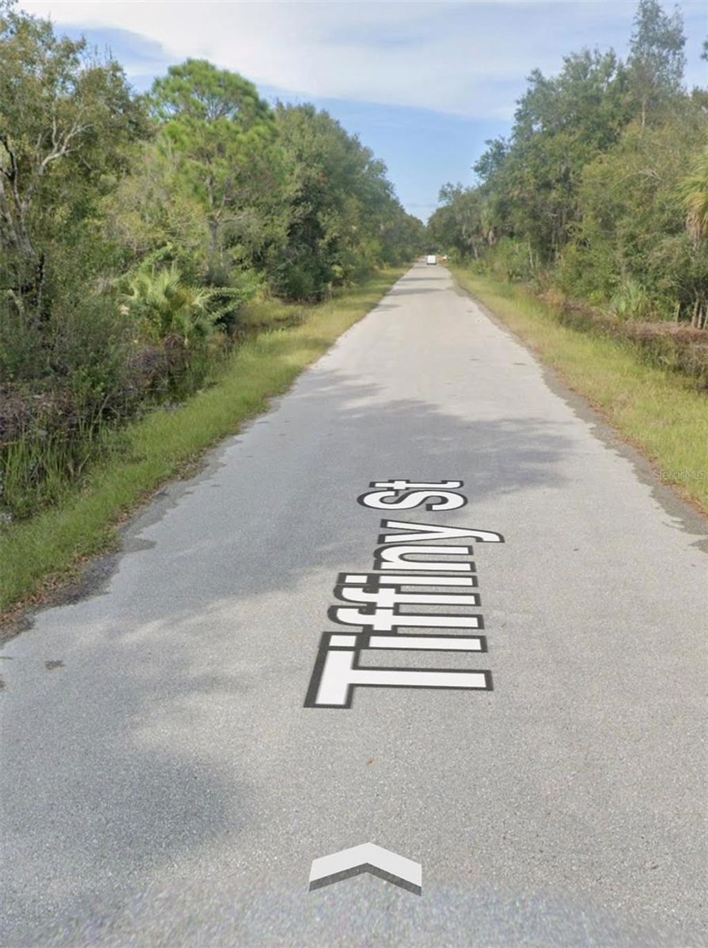 Photo of 3439 Tiffiny Street, Punta Gorda, FL 33980 (MLS # TB8495105)