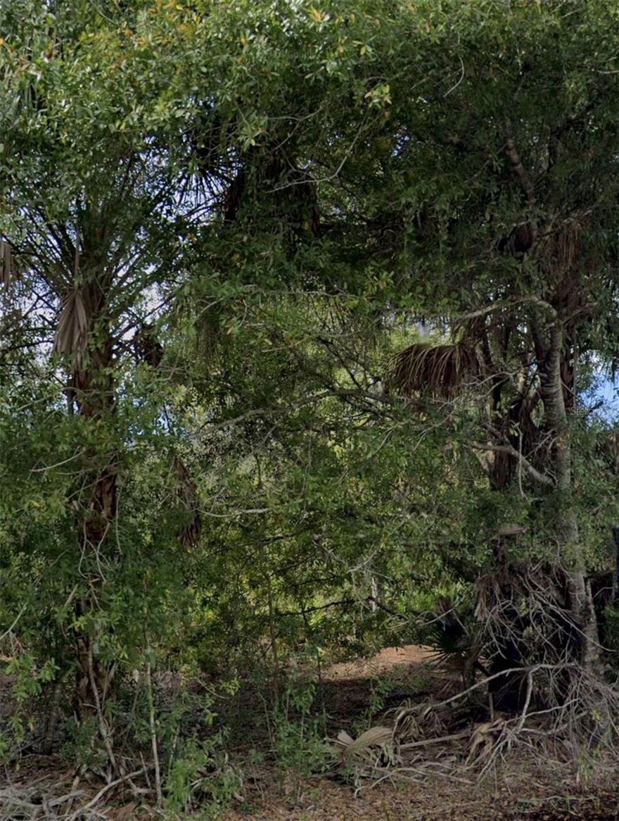 Build your Florida dream home on this 10,000 sq ft lot located in Port Charlotte Section 13. Situated on a paved road in a quiet residential area, this property offers easy access to shopping, dining, and I-75 while still providing a peaceful neighborhood setting. No HOA and plenty of room to create your ideal home.