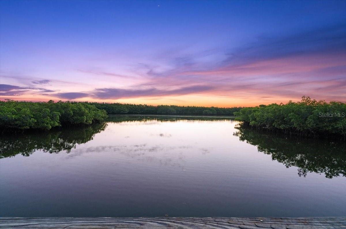 FLORIDA GUN RIB CORP IN RIVERSIDE PARK NEW SMYRNA - Residential