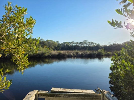 18909 ARIPEKA RD, HUDSON, FL 34667 - Image 59fda9c20ec0a8a54ed832385b828bd8/3511029018