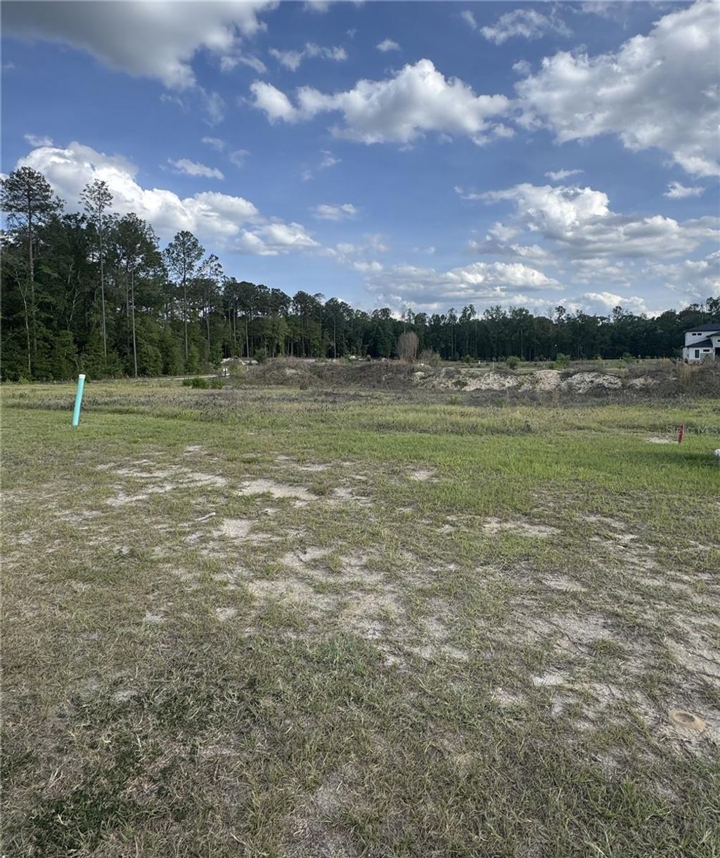 Photo of 14759 SW 9th Lane, Newberry, FL 32669 (MLS # GC540099)