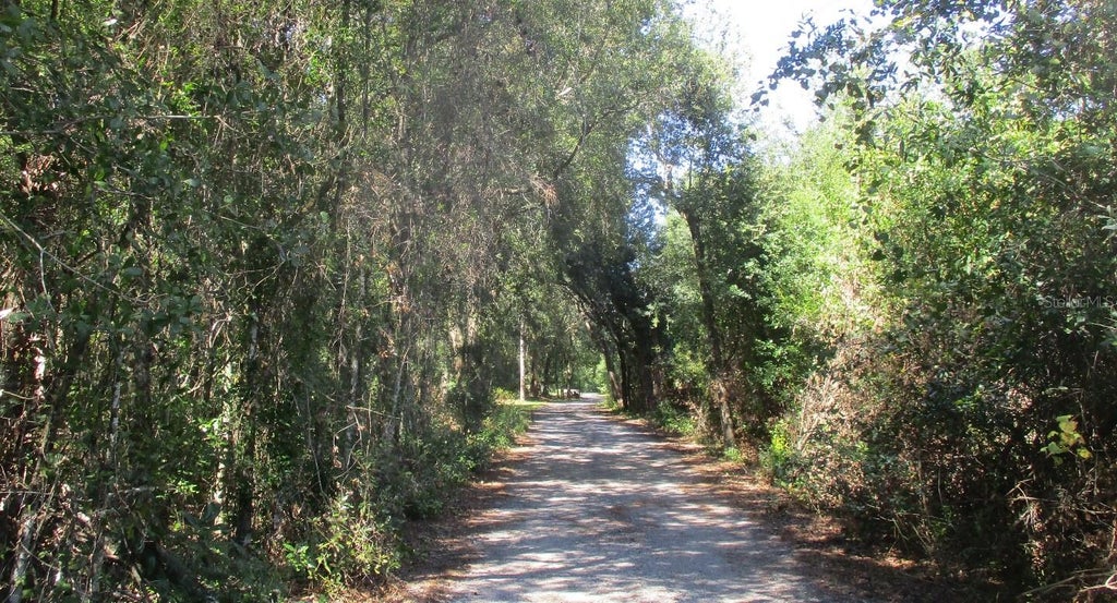 Photo of 9687 Sunderson Road, Orlando, FL 32825 (MLS # O6448527)