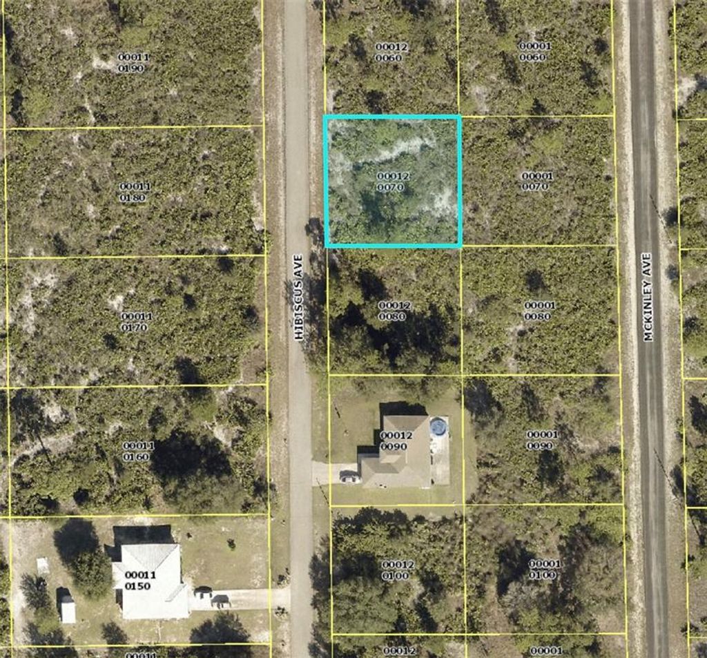Photo of 1610 Hibiscus Avenue, Lehigh Acres, FL 33972 (MLS # S5061651)