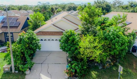 A home in KISSIMMEE