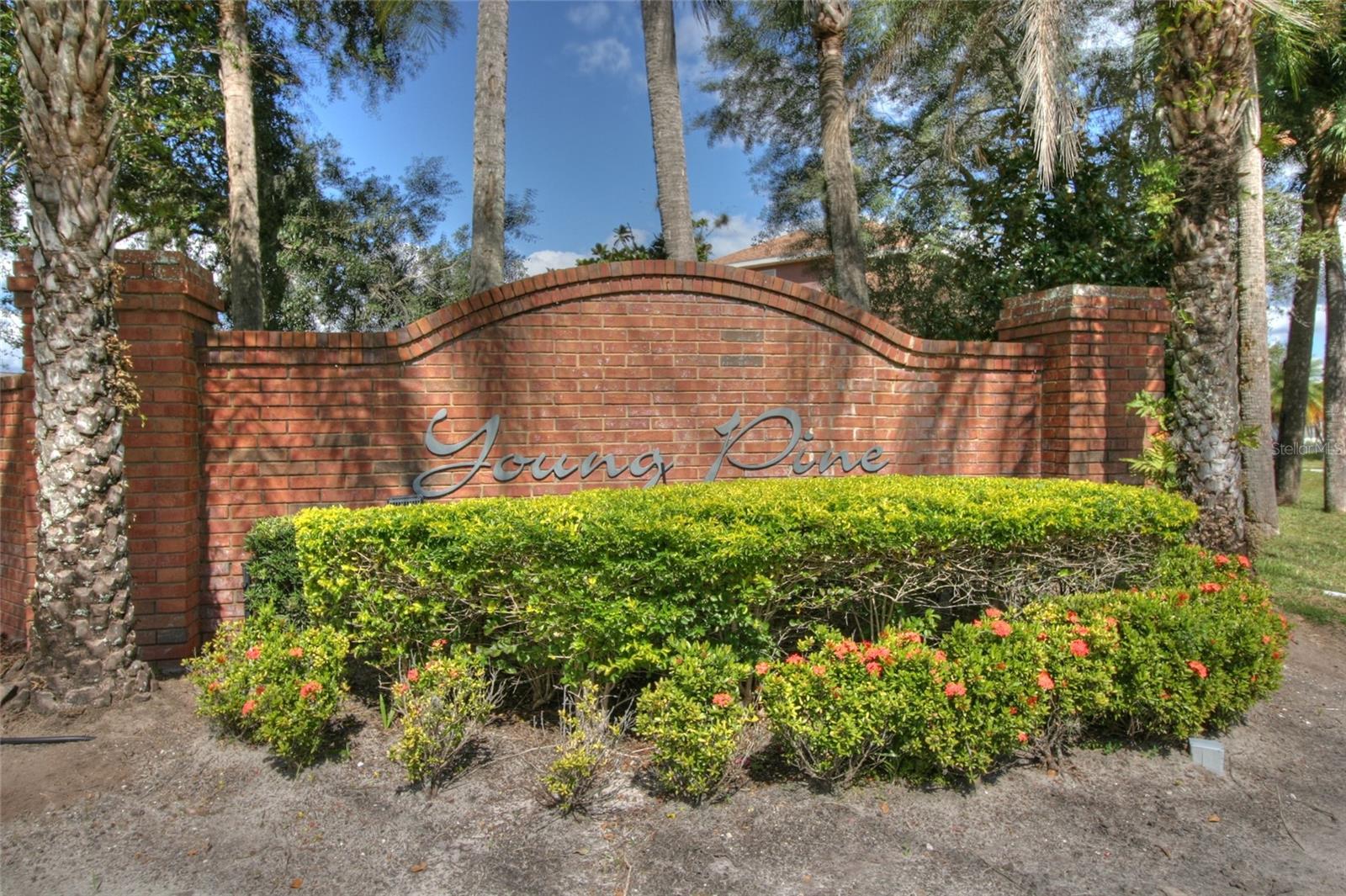 YOUNG PINE - Residential