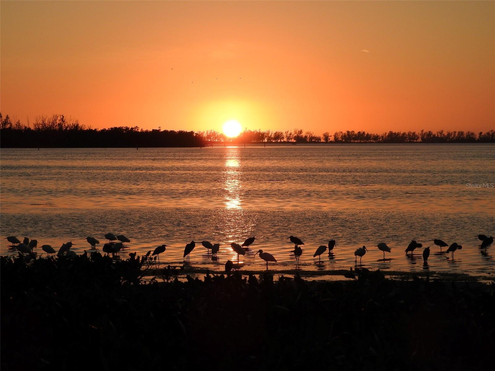 MOUNT VERNON PH 3 - Residential