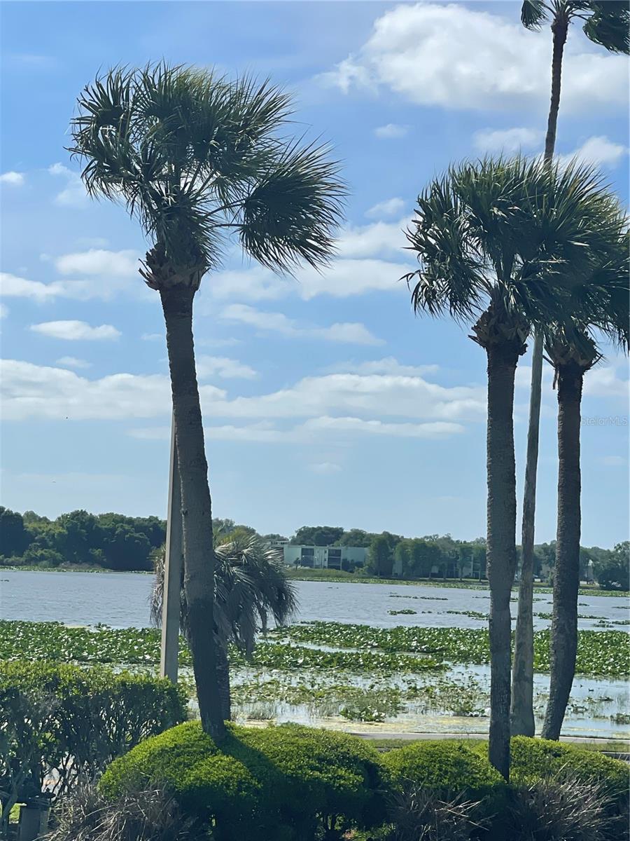 ANDOVER HOUSE/LAKELAND HARBOUR - Residential