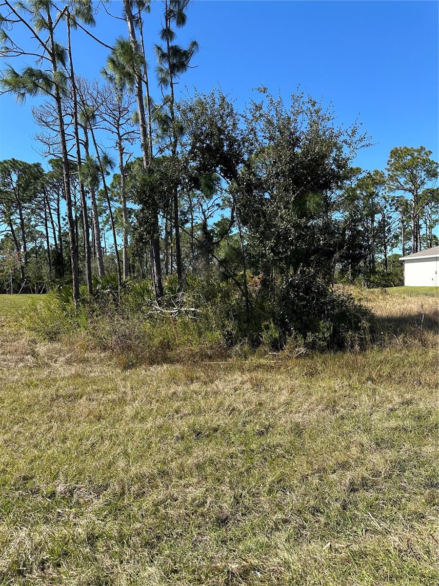 PORT CHARLOTTE SEC 060 - Land