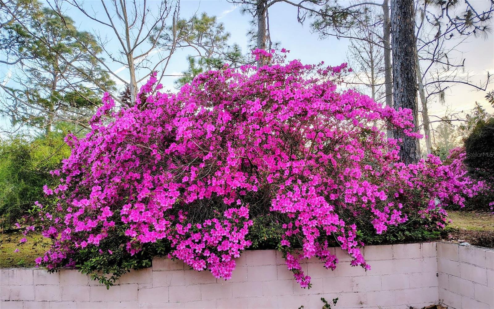 MINI FARMS NW - Residential