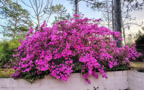 Tiny photo for 9520 N Holyoak Terrace, Dunnellon, FL 34433 (MLS # OM718761)