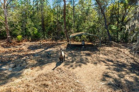Tiny photo for 9520 N Holyoak Terrace, Dunnellon, FL 34433 (MLS # OM718761)