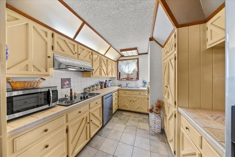 Tiny photo for 9520 N Holyoak Terrace, Dunnellon, FL 34433 (MLS # OM718761)