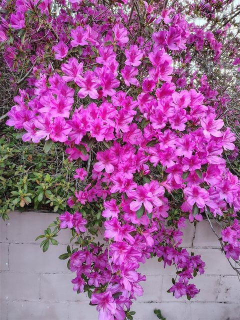 Tiny photo for 9520 N Holyoak Terrace, Dunnellon, FL 34433 (MLS # OM718761)