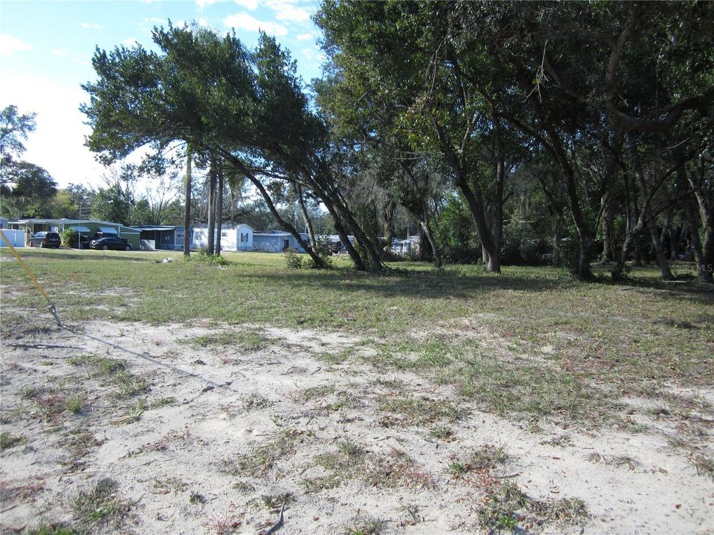 Photo of 6718 N Rome Avenue, Tampa, FL 33604 (MLS # TB8349711)
