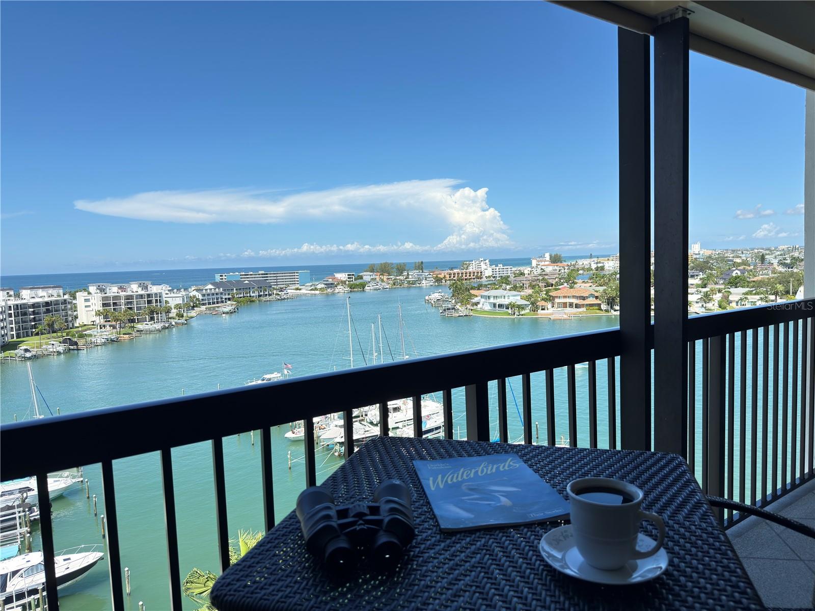 COURAGEOUS CONDO - Residential Lease