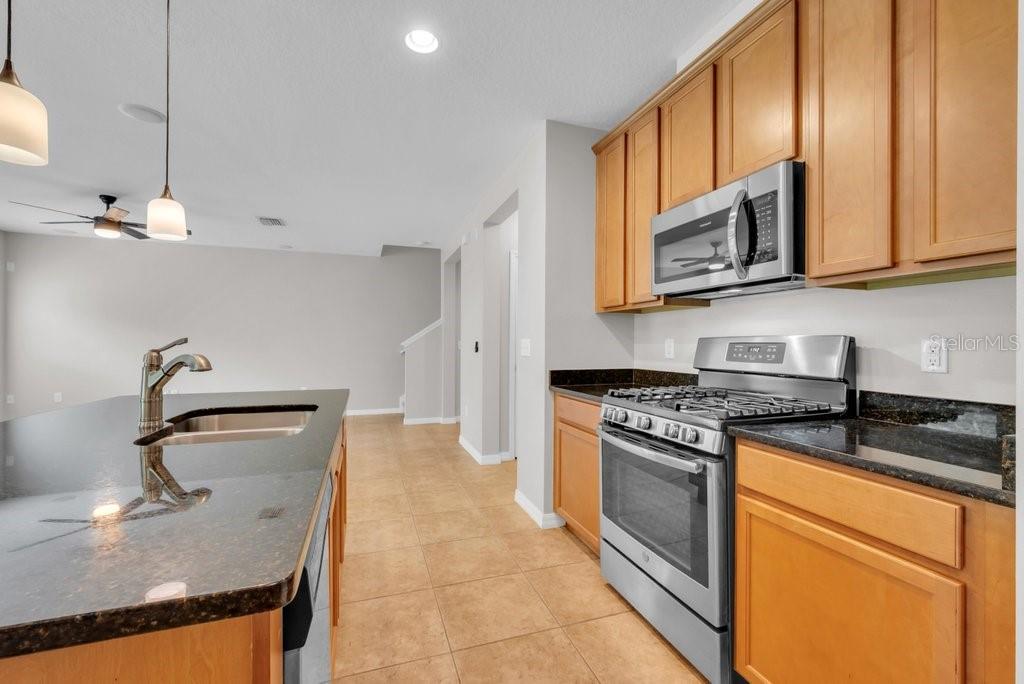 STARLING AT FISHHAWK PH IA - Residential