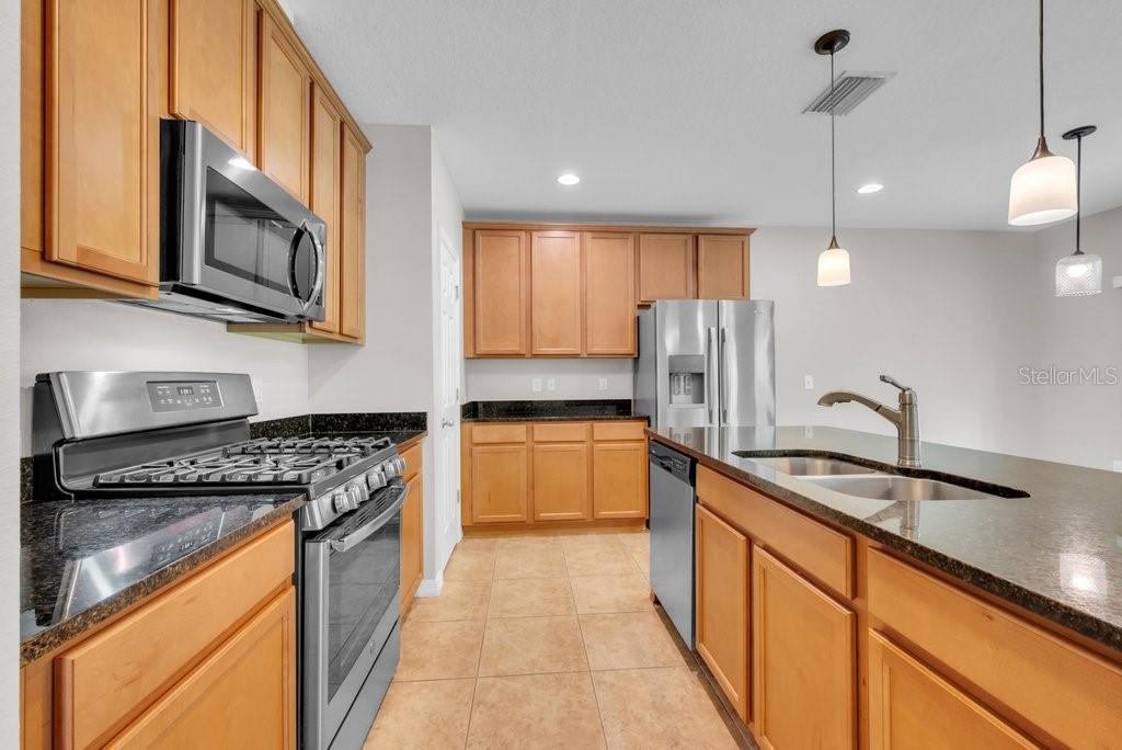 STARLING AT FISHHAWK PH IA - Residential