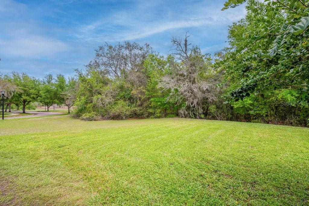 STARLING AT FISHHAWK PH IA - Residential