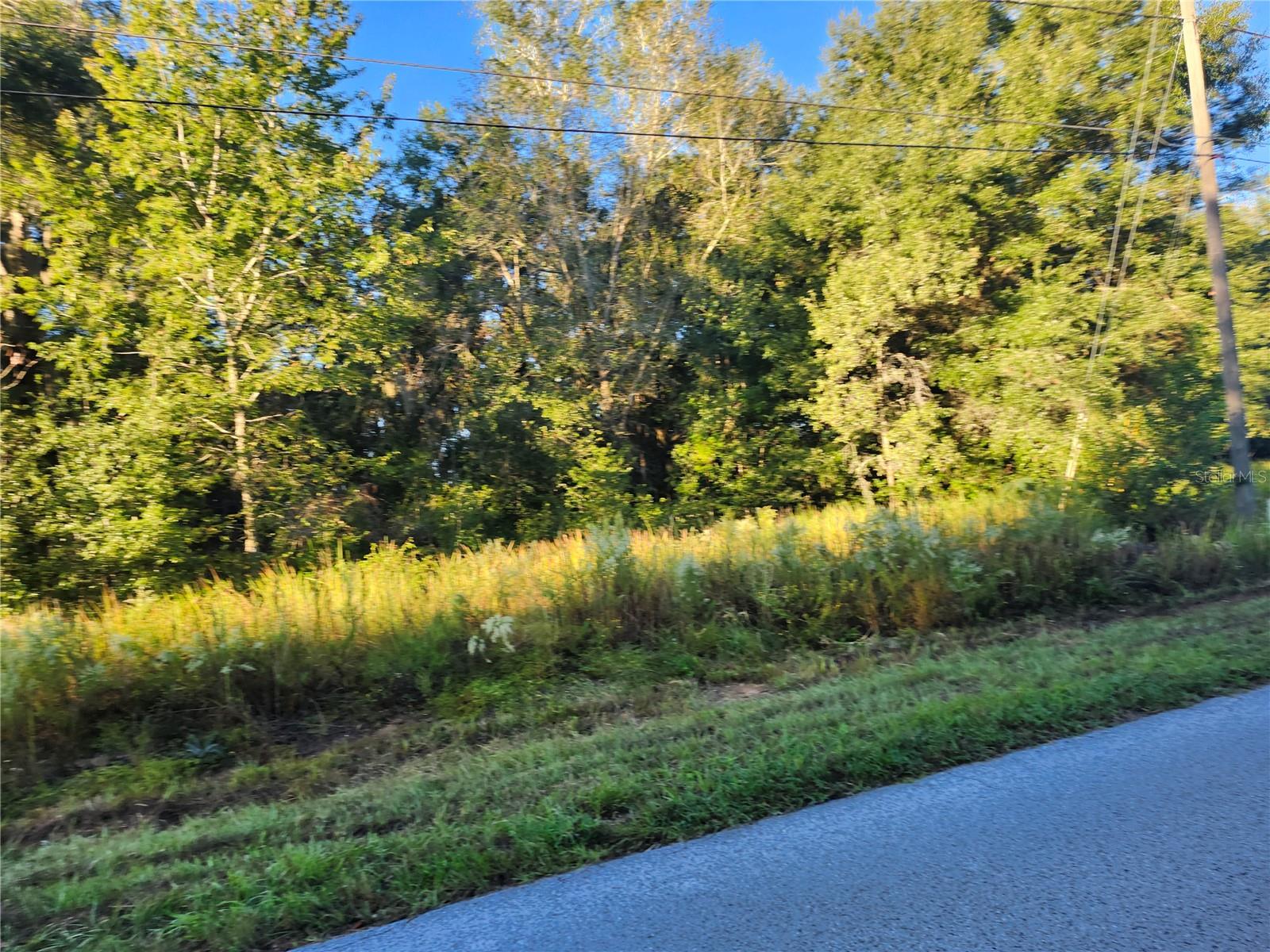Build your future in sunny Central Florida! This beautiful .23-acre vacant lot on Willow Road in Ocala (34472) sits in the heart of Silver Springs Shores, a growing residential community known for its peaceful surroundings and easy access to everyday conveniences. Whether you’re a builder, investor, or future homeowner, this property is an ideal location for your next project.
Enjoy nearby outdoor recreation at Lake Weir, Ocala National Forest, and Silver Springs State Park, or take a short drive to Ocala’s thriving downtown for shopping, dining, and entertainment.
With no HOA fees, plenty of new homes nearby, and paved road access, this lot combines affordability and opportunity — a great find in today’s Florida real estate market!
