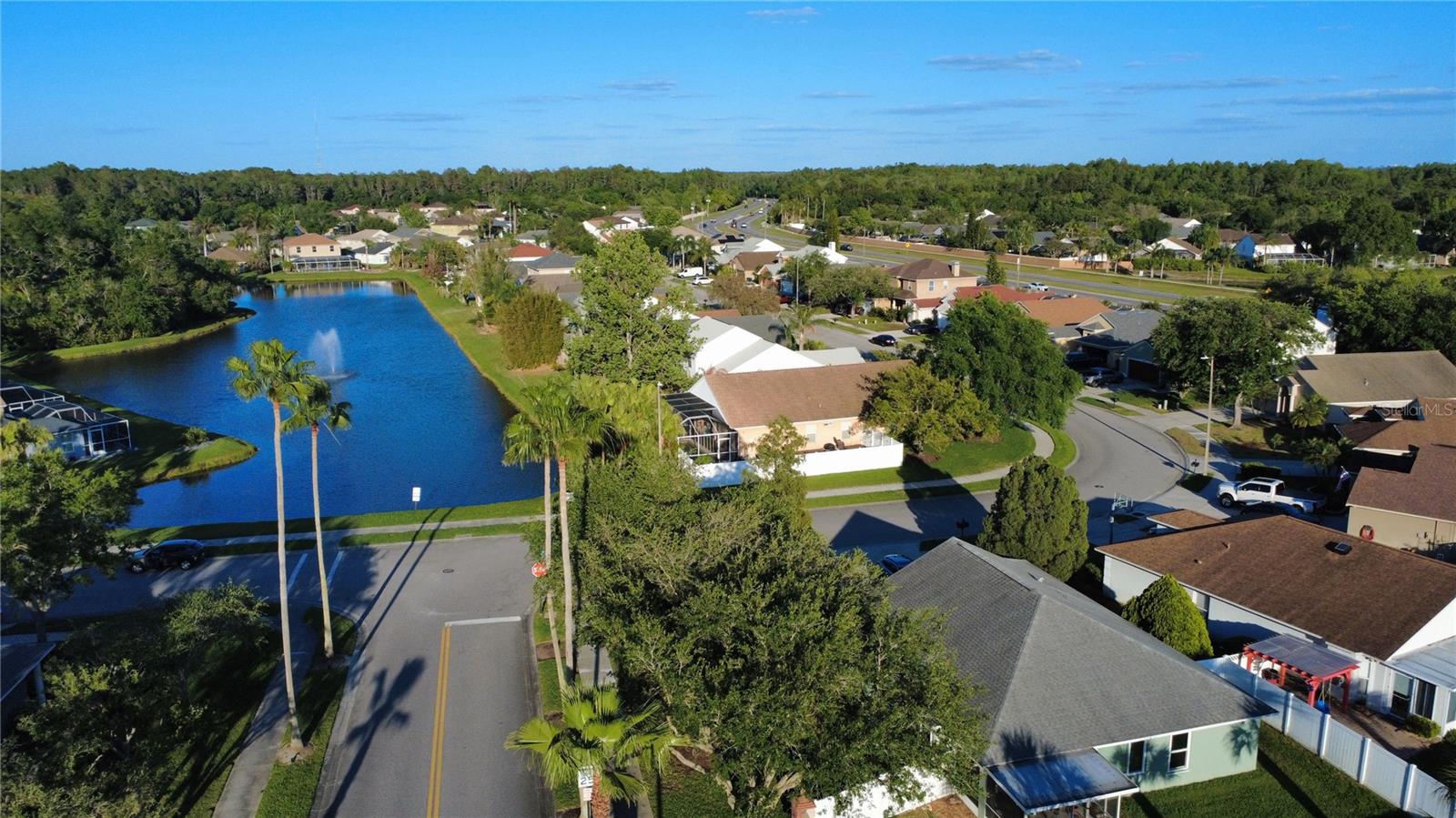 PRESERVE AT CYPRESS LAKES PH I THE - Residential