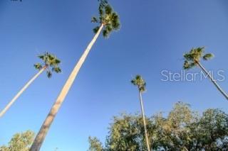 PRESERVE AT CYPRESS LAKES PH I THE - Residential