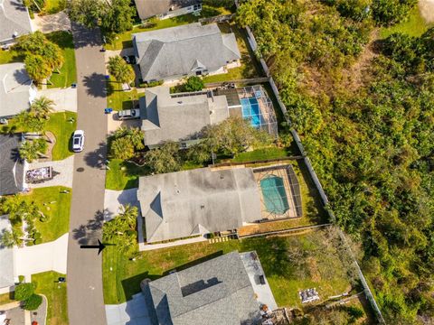 A home in PALM COAST