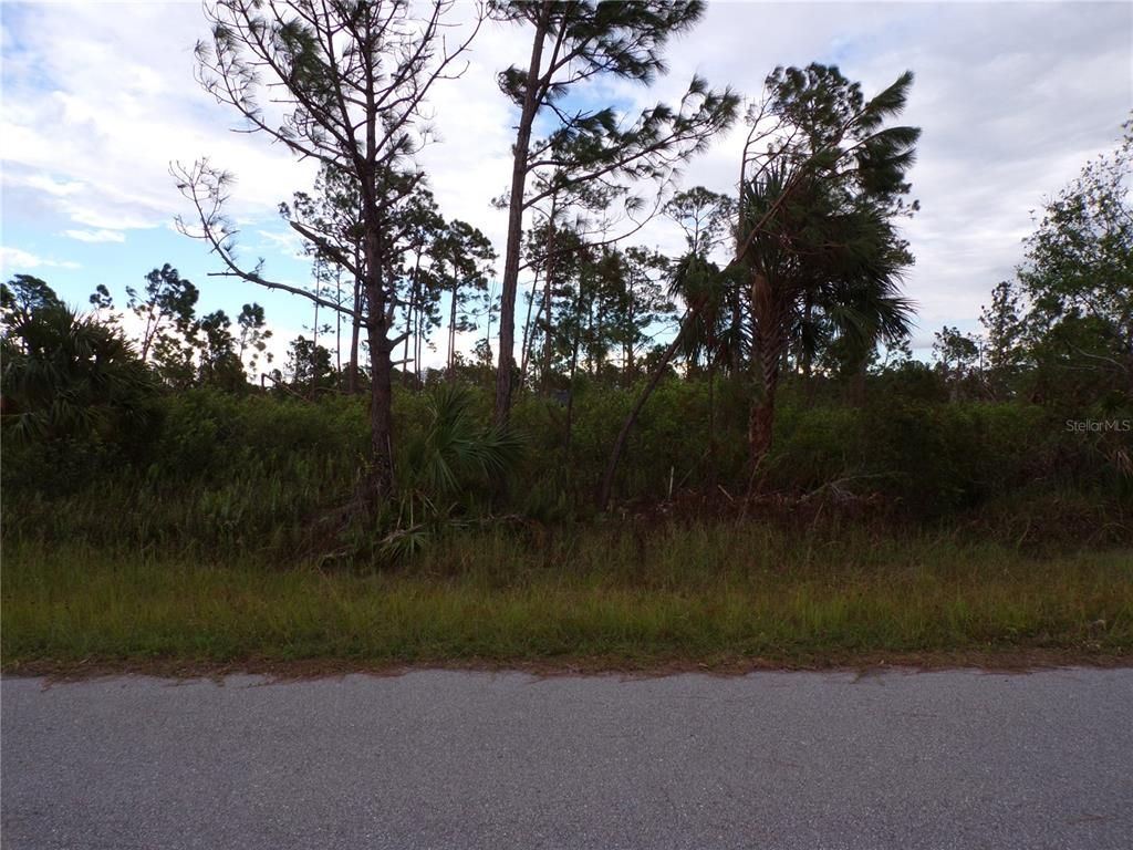 Photo of 442 Lackland Street, Port Charlotte, FL 33953 (MLS # C7467778)