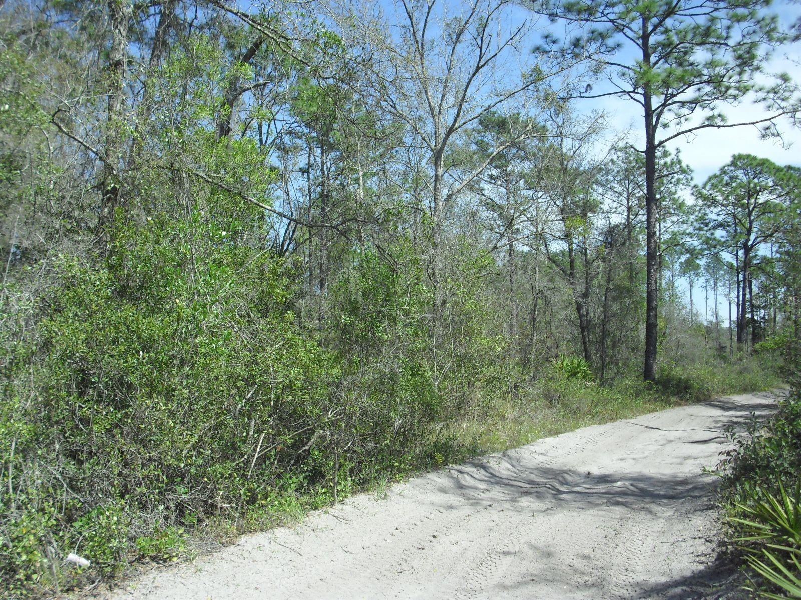 FLORIDA HIGHLANDS - Land