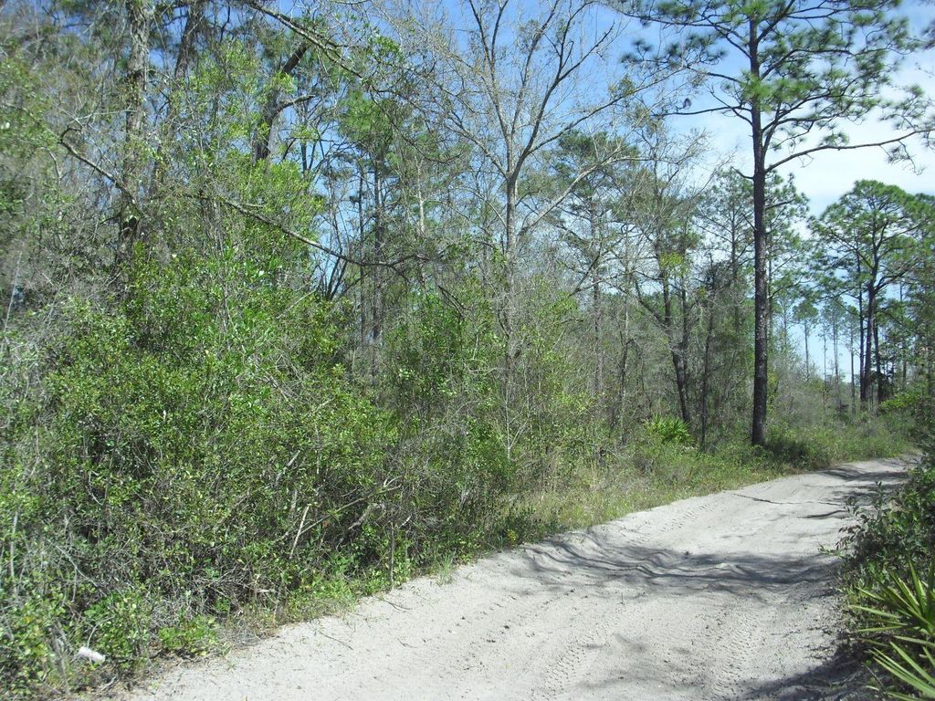 Photo of 418 SW 158th Lane, Dunnellon, FL 34432 (MLS # OM721219)