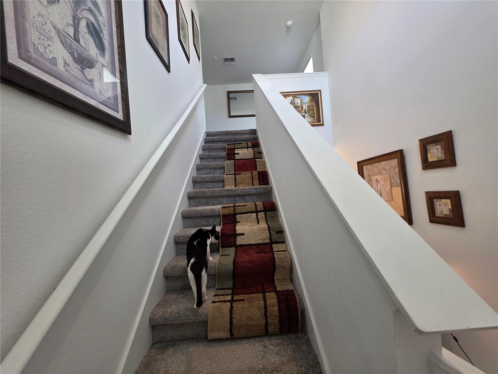 CASCADES PH 1A 1B - Residential