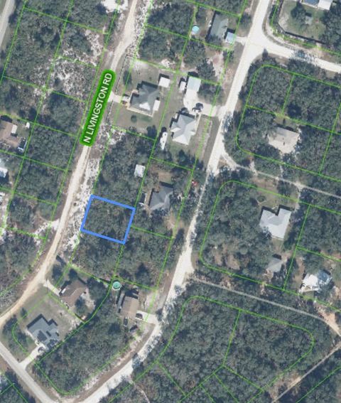 2840 LIVINGSTON ROAD AVON PARK FL 33825