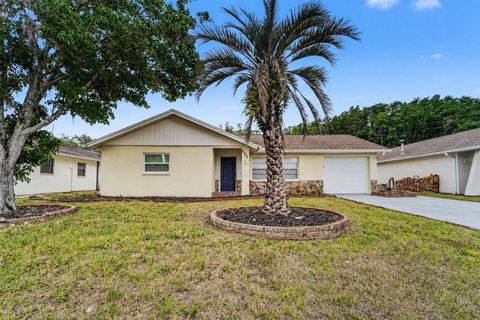 Photo of 8332 Fishhawk Avenue, New Port Richey, FL 34653 (MLS # O6405262)