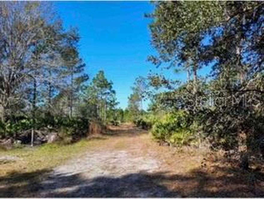 Great opportunity to own nice recreational land for investment or build your dream home.  Undeveloped land just waiting for the growth of Orlando to expand to this area for development.
