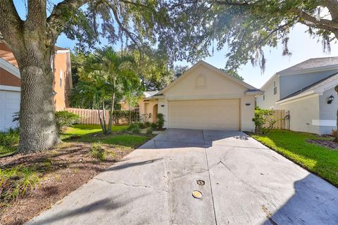 A home in TAMPA