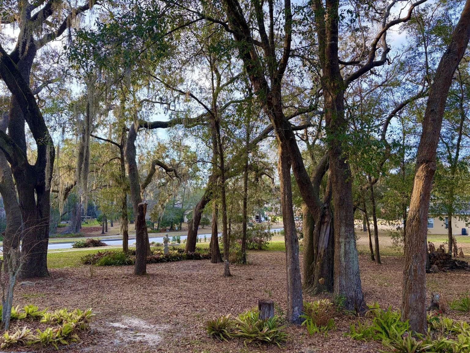 ROCK SPGS RIDGE PH 03 47/3 - Residential