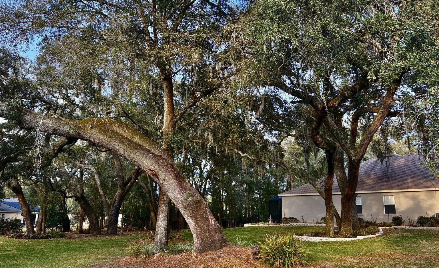 ROCK SPGS RIDGE PH 03 47/3 - Residential