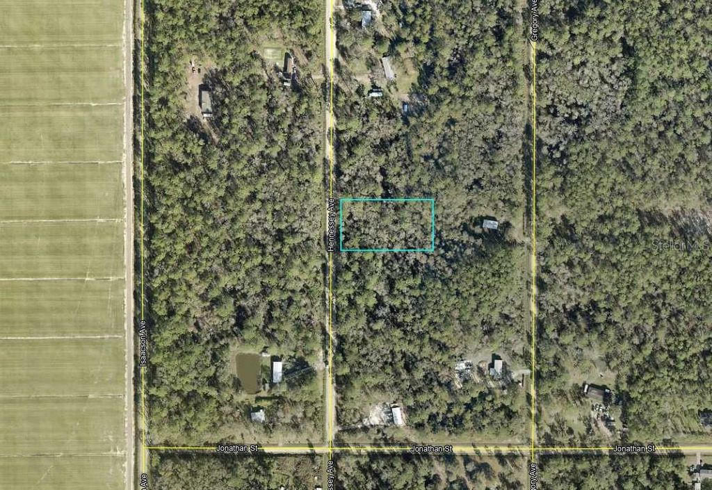Photo of 10690 Hennessey Avenue, Hastings, FL 32145 (MLS # A4690644)