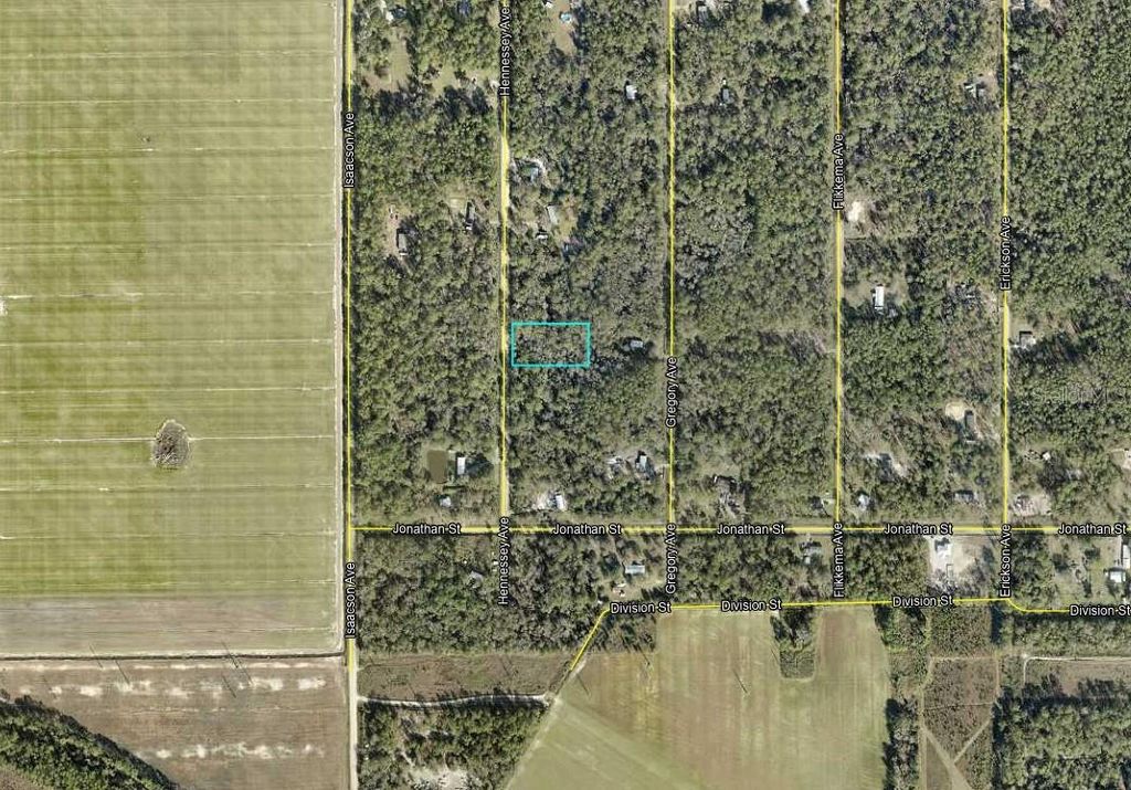Photo of 10690 Hennessey Avenue, Hastings, FL 32145 (MLS # A4690644)